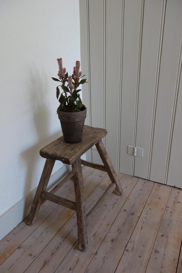 Studio Minerva Antwerpen Eksteriør billede